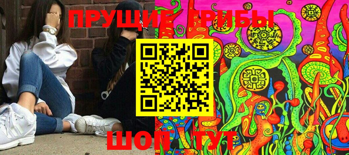 Псилоцибиновые грибы мицелий Гай