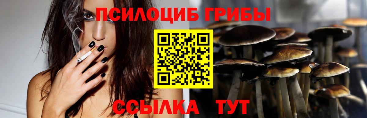 Псилоцибиновые грибы мицелий  Вход с VPN  Гай 
